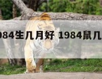属鼠1984生几月好 1984鼠几月出生命好