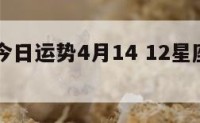 12星座今日运势4月14 12星座今日运程