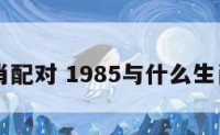 85生肖配对 1985与什么生肖配对