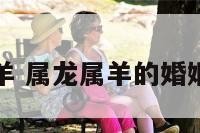 属龙属羊 属龙属羊的婚姻怎么样