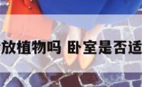 卧室适合放植物吗 卧室是否适合放植物