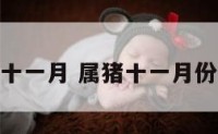 属猪人生于十一月 属猪十一月份出生好不好