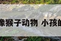 宝宝的性格像猴子动物 小孩的性格像猴子