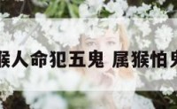属猴人命犯五鬼 属猴怕鬼吗