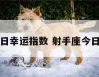 射手座今日幸运指数 射手座今日幸运时间