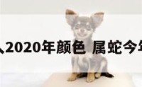 属蛇人2020年颜色 属蛇今年颜色