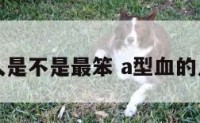 a型血的人是不是最笨 a型血的人聪明吗?