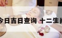 十二生肖今日吉日查询 十二生肖日历今天