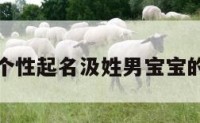 关于个性起名汲姓男宝宝的信息