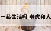 老虎能和人一起生活吗 老虎和人能生孩子吗