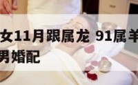 91属羊女11月跟属龙 91属羊女11月跟属龙男婚配
