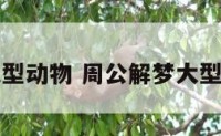 周公解梦大型动物 周公解梦大型动物攻击我