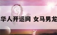 女马男龙华人开运网 女马男龙能婚配吗