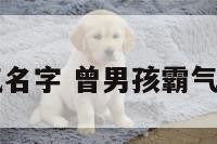 曾男孩霸气名字 曾男孩霸气名字两个字