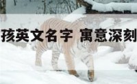 有含义的男孩英文名字 寓意深刻的男孩英文名