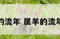 属羊的流年 属羊的流年运程