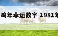 1981年鸡年幸运数字 1981年的鸡幸运数字