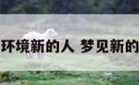 梦到新的环境新的人 梦见新的生活环境