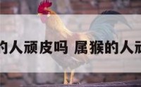 属猴的人顽皮吗 属猴的人顽皮吗