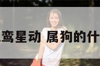 属狗人哪年红鸾星动 属狗的什么时候动婚姻