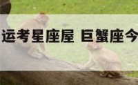 巨蟹座今日运考星座屋 巨蟹座今日运势之第一星座网