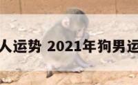 狗年男人运势 2021年狗男运气如何