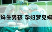 孕妇梦见蜘蛛生男孩 孕妇梦见蜘蛛生了儿子