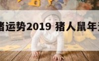鼠年属猪运势2019 猪人鼠年运势2020