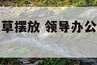 领导办公室花草摆放 领导办公室花草摆放什么花好