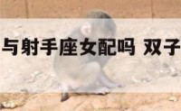 双子座男生与射手座女配吗 双子座男和射手座女配对