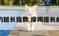 摩羯座的腿长指数 摩羯座长的是什么
