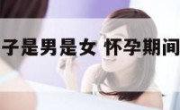 孕妇梦见蝎子是男是女 怀孕期间梦见蝎子是什么征兆