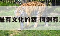 什么是有文化的猪 何谓有文化?