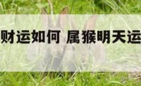 属猴明天偏财运如何 属猴明天运势方位怎么样