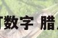 腊月生肖打数字 腊月打一动物