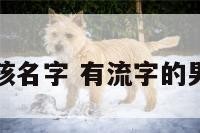有流字的男孩名字 有流字的男孩名字大全
