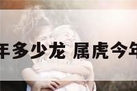 属虎的今年多少龙 属虎今年有几岁了