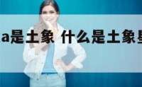 型o是火象a是土象 什么是土象星座和火象星座