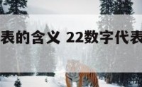 22数字代表的含义 22数字代表的含义大全