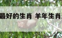 羊年运势最好的生肖 羊年生肖运势2021运势详解