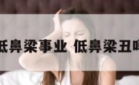 低鼻梁事业 低鼻梁丑吗