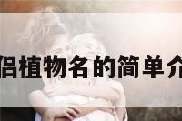 情侣植物名的简单介绍