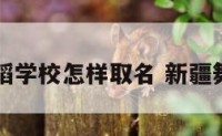 新疆舞蹈学校怎样取名 新疆舞蹈起名
