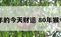 属猴80年的今天财运 80年猴今年财运