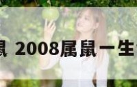 2008属鼠 2008属鼠一生命运男孩
