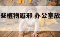 办公室种哪些植物避邪 办公室放什么植物挡煞
