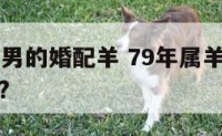 79年属羊男的婚配羊 79年属羊男的婚配羊女好吗?