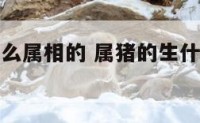 属猪的生什么属相的 属猪的生什么属相的小孩好