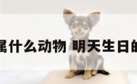 明天生日属什么动物 明天生日的人属什么