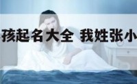 属鸡张姓小孩起名大全 我姓张小孩取什么名好